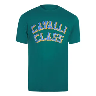 Grünes T-shirt Mit Mehrlagigem Logo Von Cavalli Class