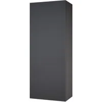 Vicco Hängeschrank Gloria, Anthrazit/Anthrazit, 33 x 84 cm mit 2 Regalböden (1-St)