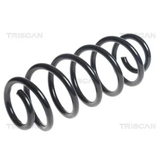 Triscan Feder hinten Toyota Verso