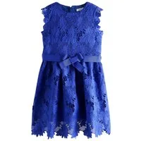 Next Partykleid Spitzenkleid für besondere Anlässe (1-tlg)