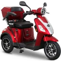 Rolektro Elektromobil E-Trike 25 V.2, Blei-Gel-Akku, 1000 W, 25 km/h, (mit Topcase)