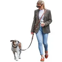 Freudentier Hundeleine Umhängeleine 3m - Freihandleine Hund - UrbanFlow