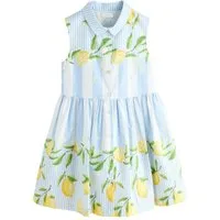 Next Hemdblusenkleid Hemdblusenkleid (1-tlg)