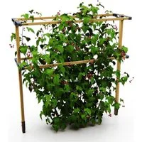 Gusta Garden Rankhilfe BERRY BUDDY, erweiterbares Rankgitter aus Holz, 360cm, Flexible Rankhilfe für Himbeeren, Brombeeren, Heidelbeeren etc.
