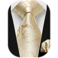 LuxusKollektion Krawatte Krawatten Set Herren Hochzeit Paisley Einheitsgröße H-beige-2