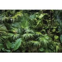 Wallarena Fototapete Natur - Mehrfarbig - Modern - Vlies - Wohnzimmer, glatt, 152x104cm