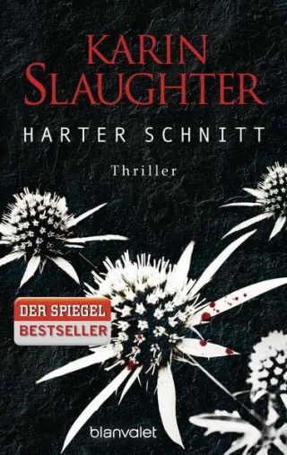 Harter Schnitt: Thriller (Georgia-Serie Band 3)