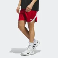 adidas Performance Trainingsshorts ICON SQUAD
