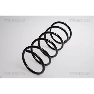 Triscan Feder vorne Citroen Berlingo Xsara Peugeot Partner 875028303