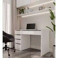 Raumhirsch Furniture Schreibtisch Computertisch, Bürotisch, Lerntisch, Arbeitstisch (Maße 120 x 55 x 76,5 (H) cm, 5 Schubladen), Viel Stauraum, Rollenführungen