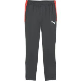 Puma - "Individualliga" Trainingshose für Herren (Schattengrau)