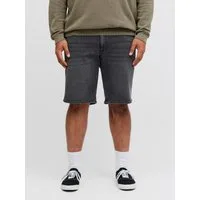 Jack & Jones PlusSize Shorts JJIRICK JJORIGINAL SHORTS AT 999 PLS