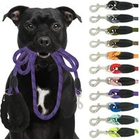 Reichstadt Hundeleine RS Pets Führleine Nylon 25RSP084, Nylon, Ergonomischer EVA-gepolsterter Griff für Blasenschutz