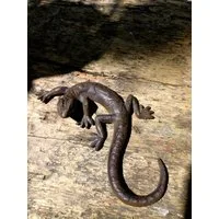 Antikas Wanddekoobjekt Salamander schöne Eidechse, Dekoration Gecko, Brief-Beschwerer aus