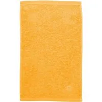 ROSS Gästehandtücher Vita 4004, Frottier (6-St), Bestickung ROSS-Emblem
