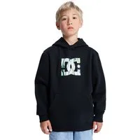DC Shoes Hoodie DC Star Filled