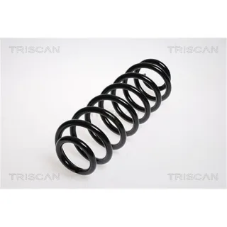 Triscan Feder hinten Skoda Octavia Superb VW Eos Touran