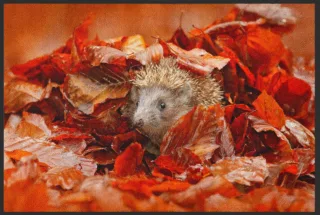 Fussmatte Igel 4533 | Größe: 100 cm x 70 cm