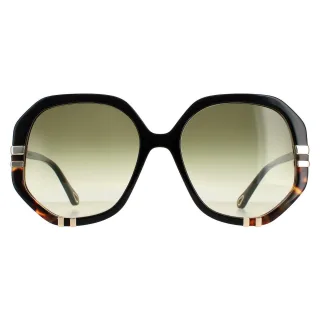 Chloe Square Womens Glänzend Schwarz und Schildkröte Grün Gradient CH0105S