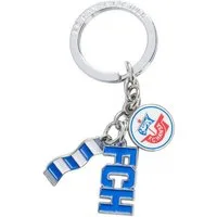 FC Hansa Rostock Schlüsselanhänger Hansa Rostock Schlüsselanhänger Charms