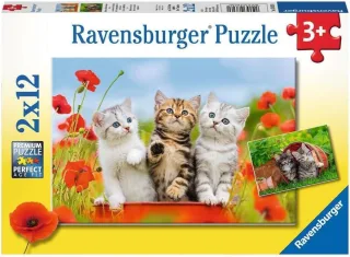 Ravensburger Puzzle 07626 - Katzen auf Entdeckungsreise [2x 12 Teile]