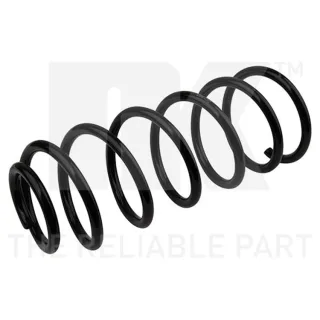 NK Feder hinten Renault Kangoo