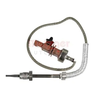 Metzger Abgastemperatursensor MAN VW 2,0 08941140