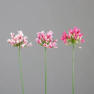 Kunstblume Agapanthus