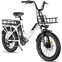 HILAND E-Bike HILAND Lasten E-Bike 20 Zoll Step-Thru 250W 36V 13Ah