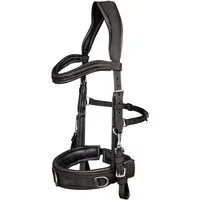 Waldhausen Trensenzaum Waldhausen Lederkappzaum Anatomic