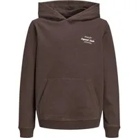 Jack & Jones Junior Sweatshirt JORNORREBRO TYPO BACK SWEAT HOOD SN JNR