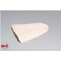 M&S Reptilien Terrarium Sepia Schale, naturbelassen, XL (ca. 50 g, ca.15 cm)