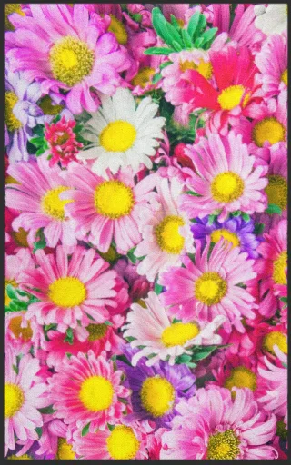Fussmatte 7778 | Größe: 60 cm x 90 cm