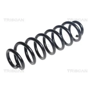 Triscan Feder hinten Seat Ateca Skoda Karoq Kodiaq VW Golf Tiguan