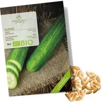 Growgreens Gemüsesamen BIO Gurken Samen (Marketmore) - Salatgurke Saatgut (10 Korn), Gemüse