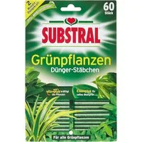 Substral Pflanzenstärkungsmittel Substral Dünger-Stäbchen für Grünpflanzen mit Eisen-Plus 60 Stück