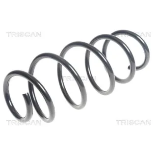 Triscan Feder vorne Fiat Doblo Opel Combo 875015199