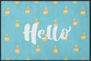 Fussmatte Hello 4046 | Größe: 60 cm x 45 cm