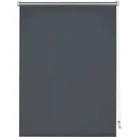Seitenzugrollo Thermo Klemmrollo Energiesparend, GARDINIA, ohne Bohren, freihängend, Klemmfix, abdunkelnd mit Thermobeschichtung