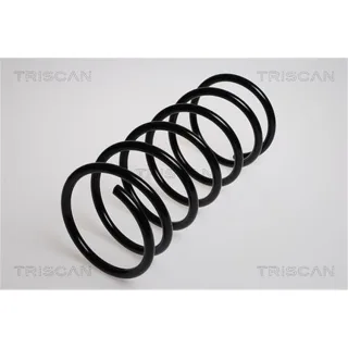 Triscan Feder vorne Citroen Berlingo Xsara Peugeot 309 Partner