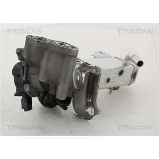 Triscan AGR-Ventil Citroen Fiat Ford Peugeot 2,0