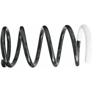 Sachs Feder hinten Toyota Rav 4 1 2,0 996894