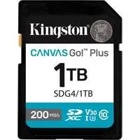 Canvas Go! Plus 1TB SDXC, Speicherkarte schwarz, UHS-I U3, Class 10, V30