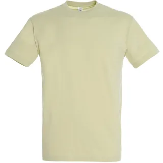 SOLS Herren Regent T-Shirt mit kurzen Ärmeln (Grüner Salbei)