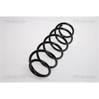 Triscan Feder hinten Mercedes A-Klasse W169 875023101