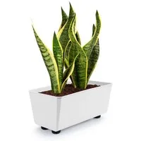KONZEPT Blumenkasten Blumentöpfe mit Füßen, rechteckig – kleine Blumenkästen 4,2 L (1 St), 284x168x173 mm, ideal für Fensterbank & Zimmerpflanzen