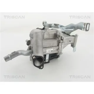 Triscan AGR-Ventil Citroen Peugeot Volvo