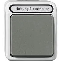 Heizungs-Notschalter, zweipolig, beleuchtet, Aufputz, Schutzart IP44, 10 Ampere hellgrau, Retail