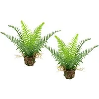 Kunstpflanze Künstlicher Waldfarn im Topf, I.GE.A., Höhe 25 cm, 2er Set Farn Büsche Pflanze Deko Grünpflanze Waldpflanze Zimmerpflanze