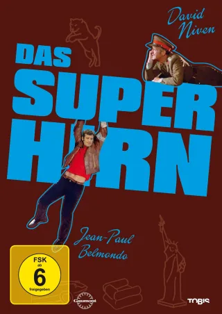 Das Superhirn [DVD] [2006]